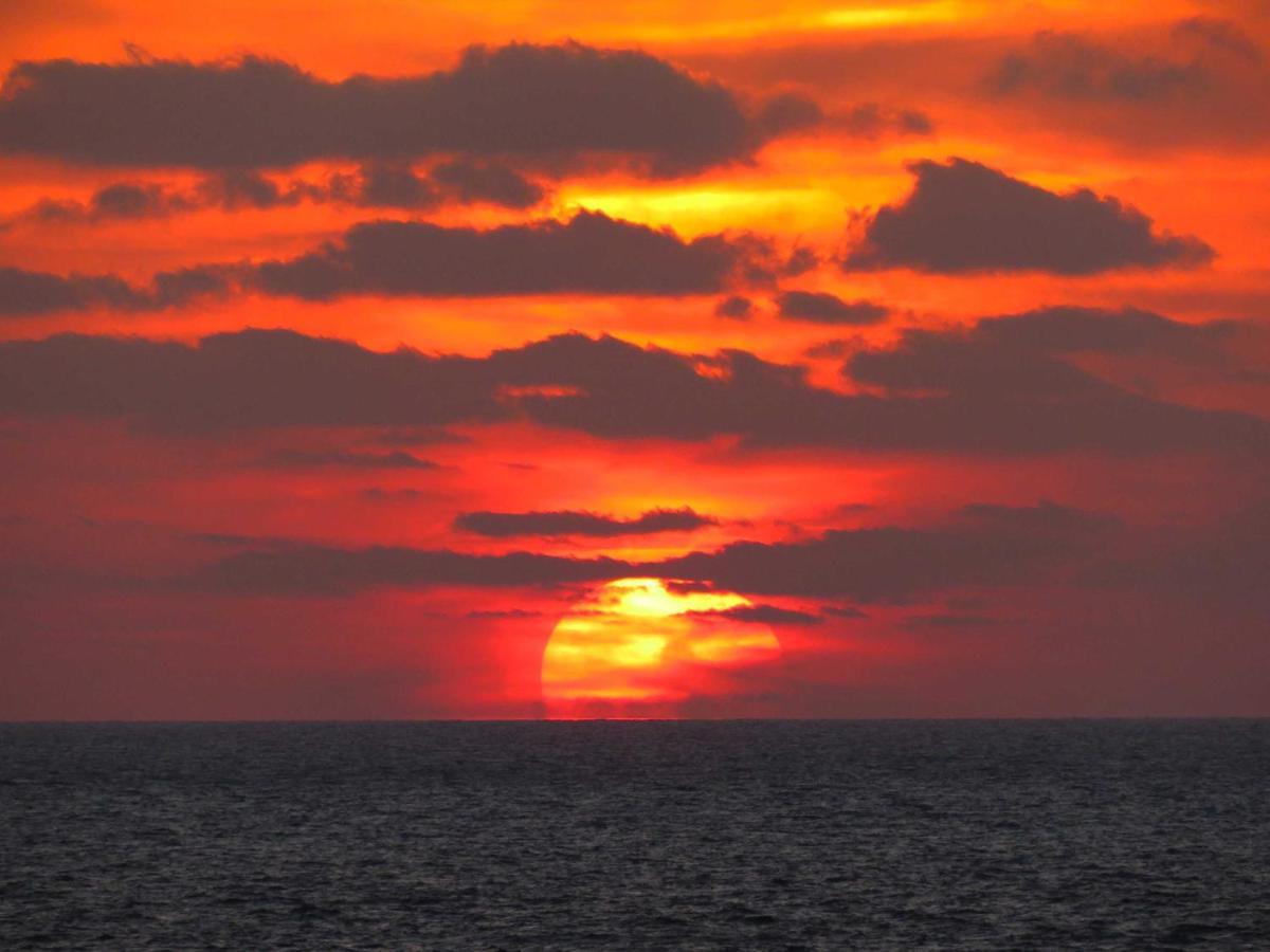 Panohome Porto Pino Dış mekan fotoğraf