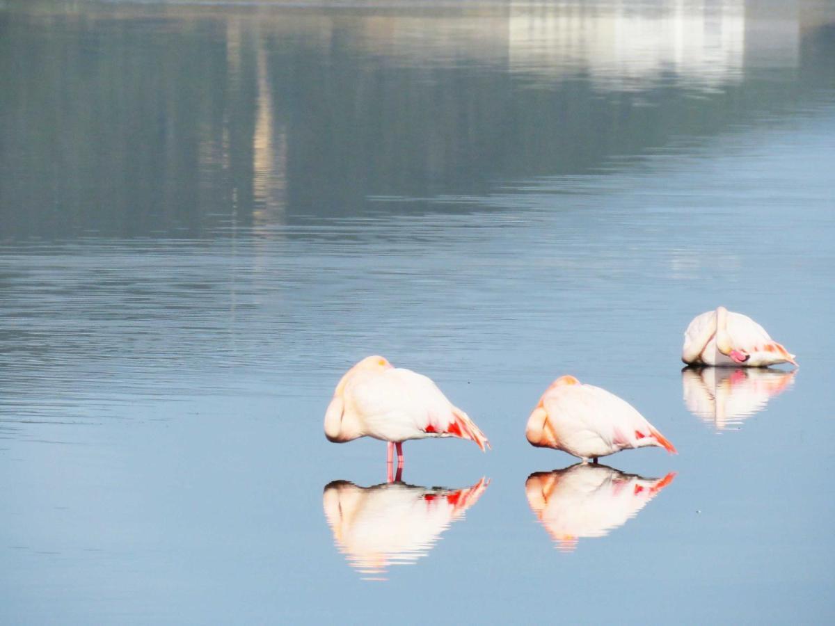 Panohome Porto Pino Dış mekan fotoğraf