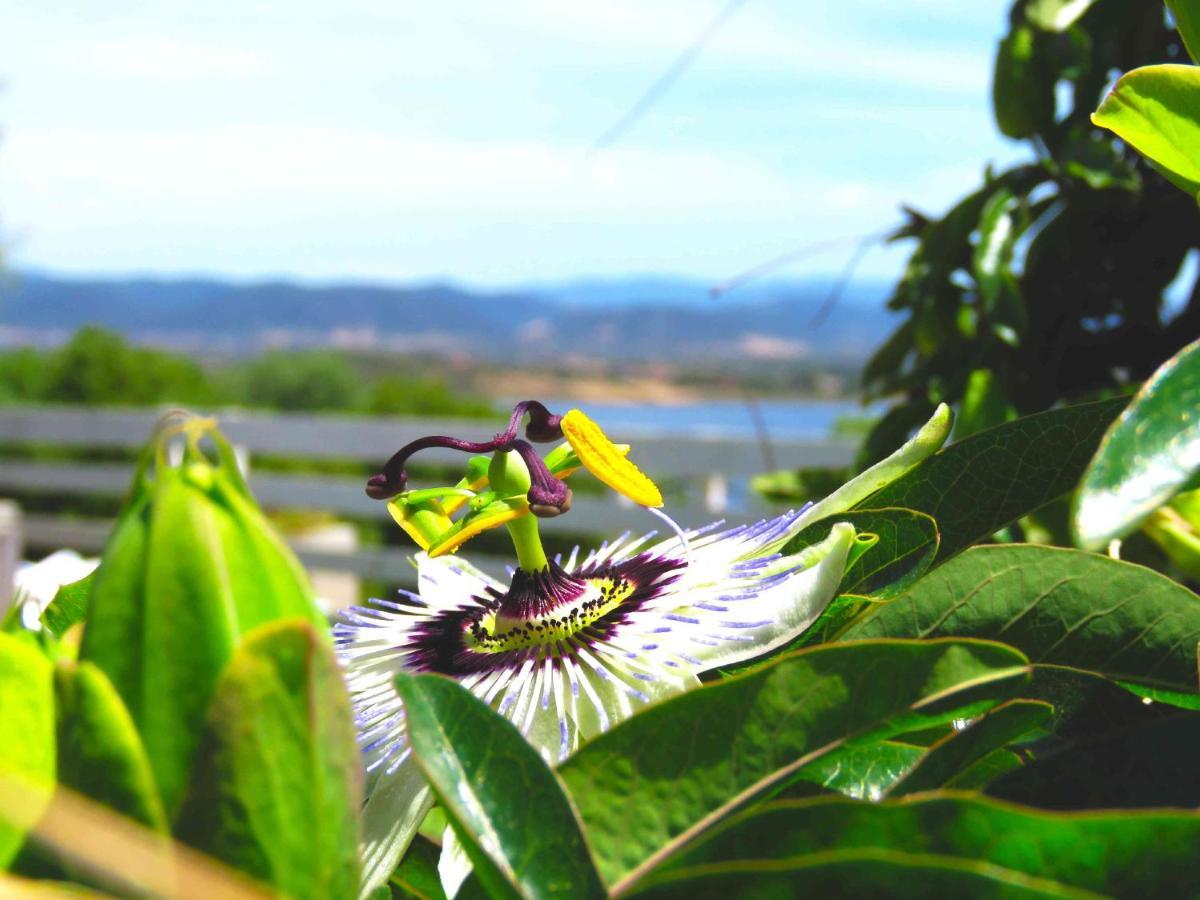 Panohome Porto Pino Dış mekan fotoğraf