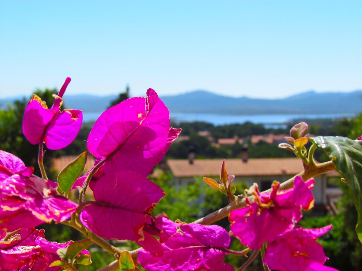 Panohome Porto Pino Dış mekan fotoğraf
