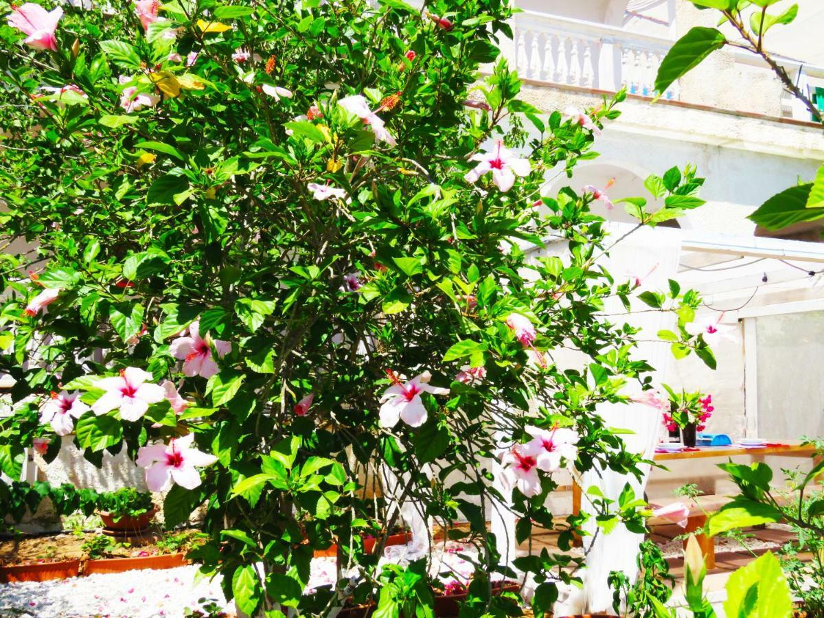 Panohome Porto Pino Dış mekan fotoğraf